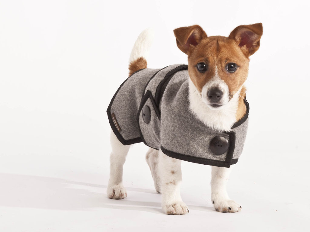 Blazer Wool Dog Coat - Grey
